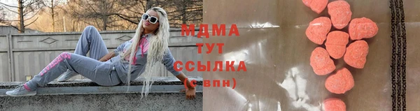 индика Володарск