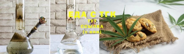 индика Володарск
