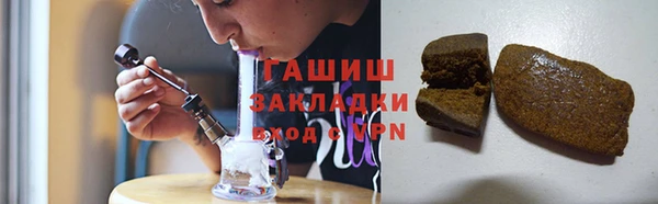 индика Володарск