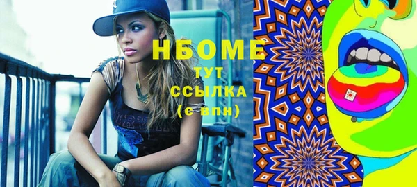 индика Володарск