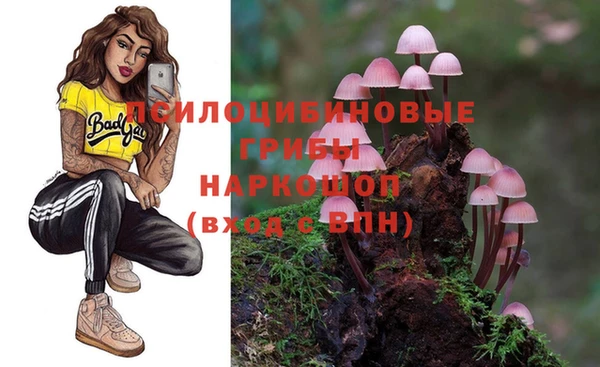 индика Володарск