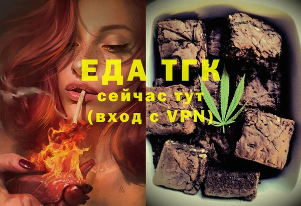 индика Володарск