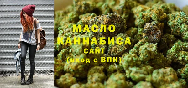 индика Володарск