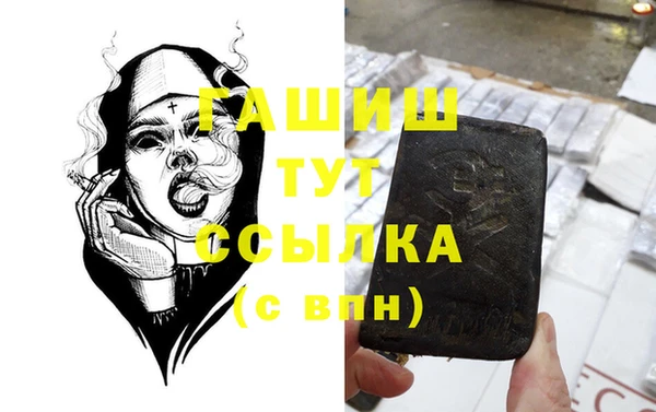 индика Володарск