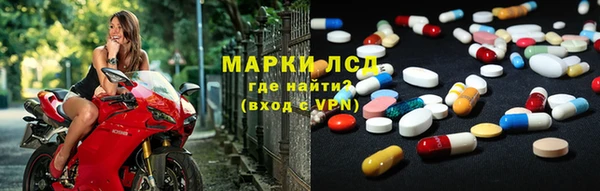 индика Володарск